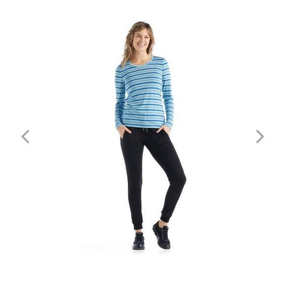 NWT Icebreaker Wave Long Sleeve Striped Tee - LARGE - haze / azul - LARGE - Picture 5 of 6